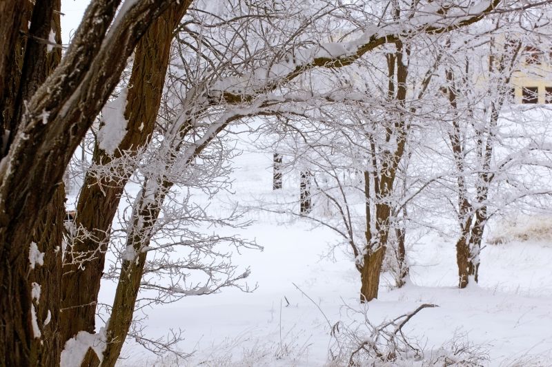 Jak zima może pomóc w walce ze&nbsp;stresem?